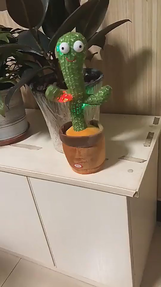 Dancing Cactus music Box