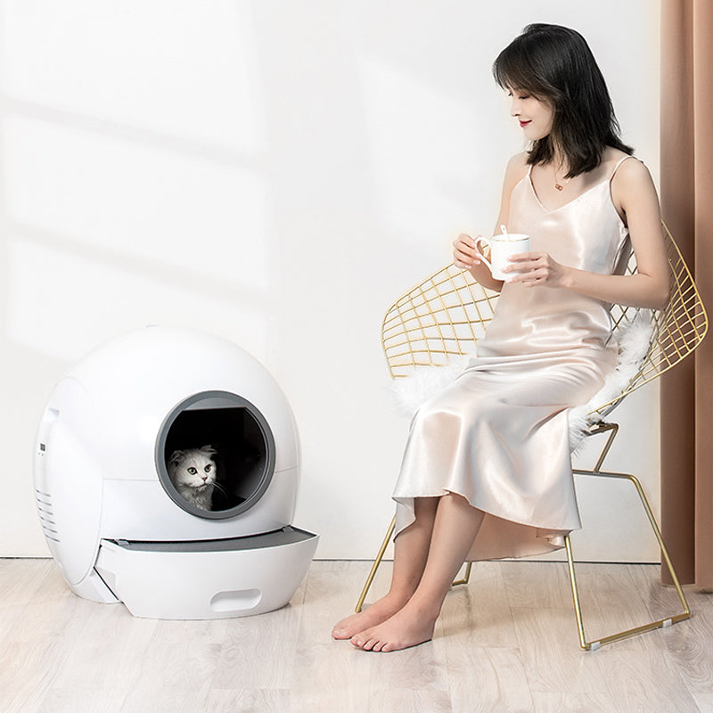 Automatic pet toilet